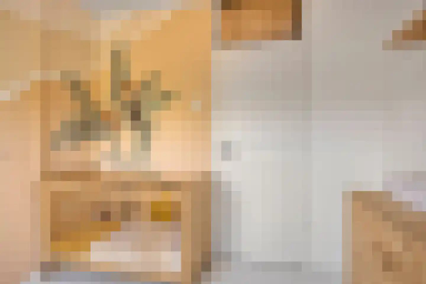 Wethouder Twaalfhovenstraat 36 Uitgeest thumbnail 24
