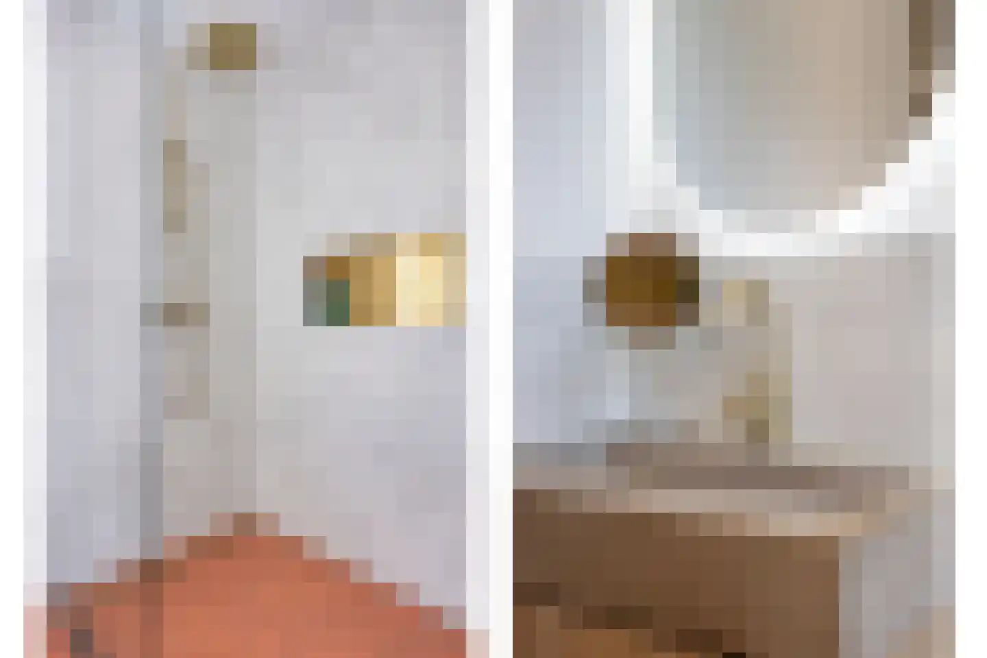 Wethouder Twaalfhovenstraat 36 Uitgeest thumbnail 27