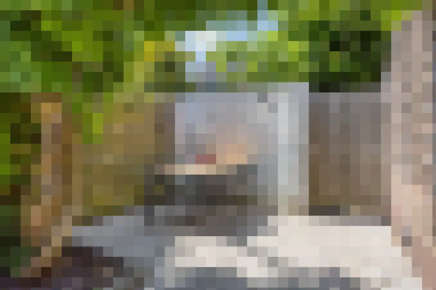 Wethouder Twaalfhovenstraat 36 Uitgeest thumbnail 34