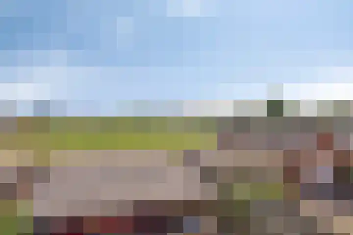Wethouder van Akenstraat 18 Est thumbnail 24