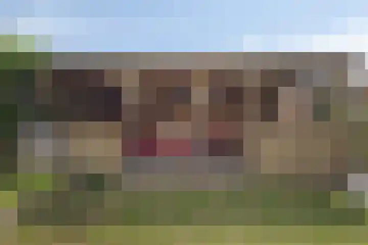 Wethouder van Akenstraat 18 Est thumbnail 27