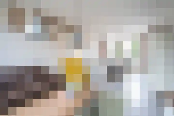 Wethouder van Akenstraat 27 Est thumbnail 6
