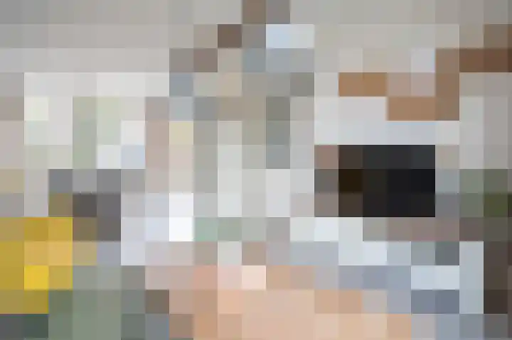 Wethouder van Akenstraat 27 Est thumbnail 7