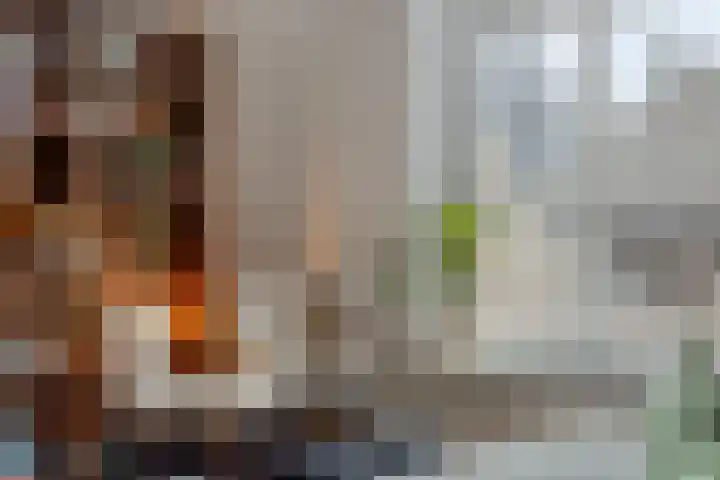 Wethouder van Caldenborghlaan 14 A Maastricht thumbnail 6
