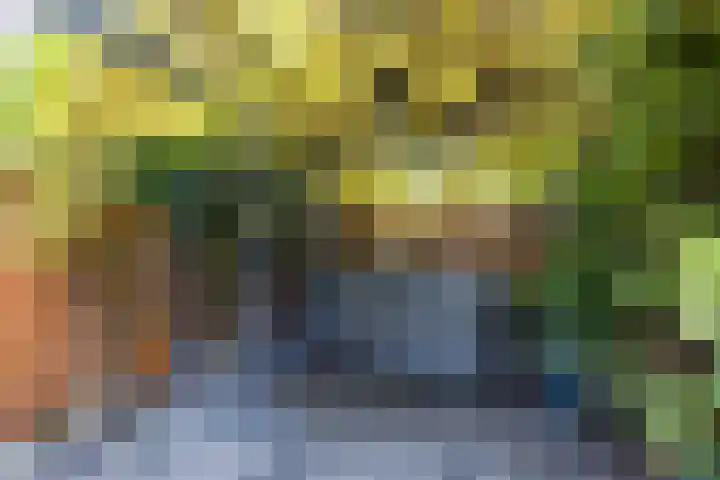 Wethouder van Damlaan 10 Wilnis thumbnail 29