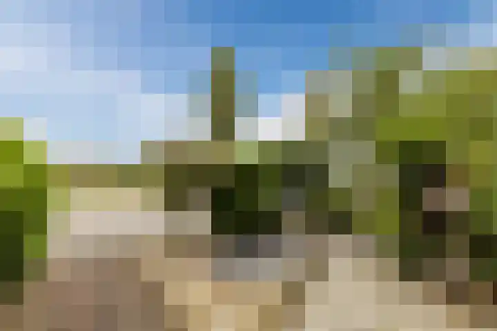 Wethouder van Damlaan 10 Wilnis thumbnail 32