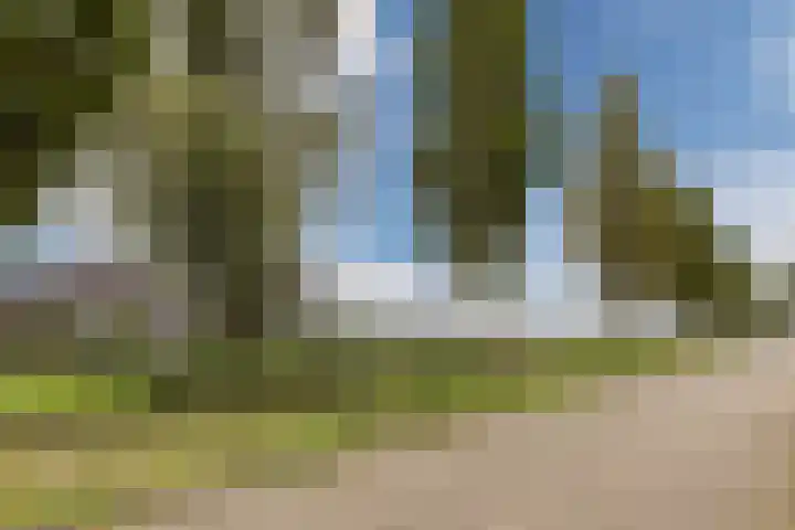 Wethouder van Damlaan 10 Wilnis thumbnail 33