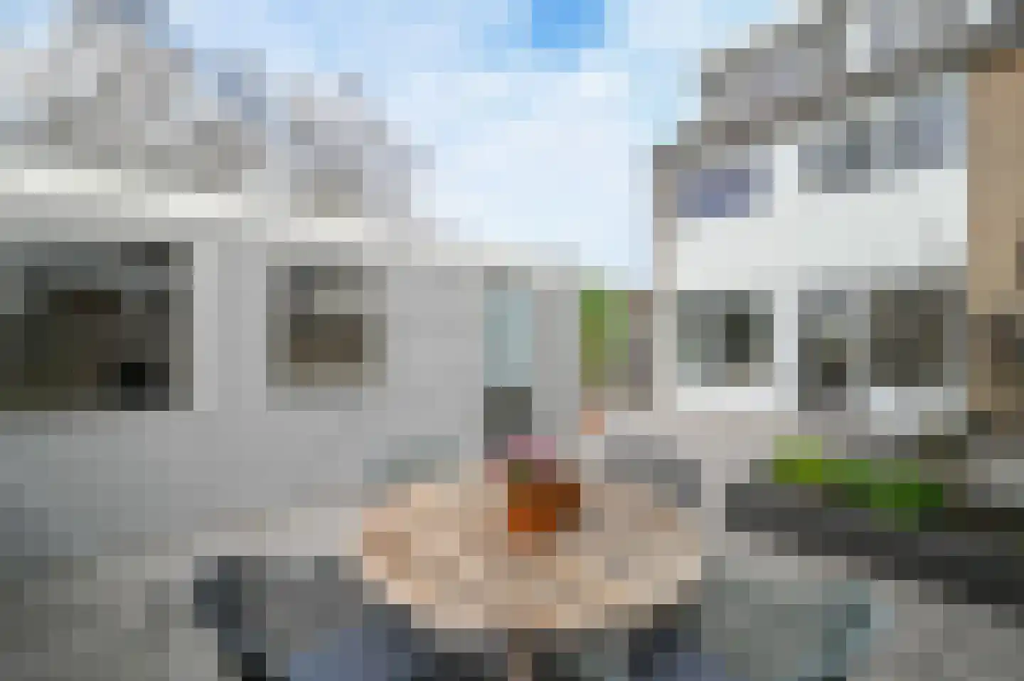 Wethouder van Damlaan 100 A Wilnis thumbnail 13