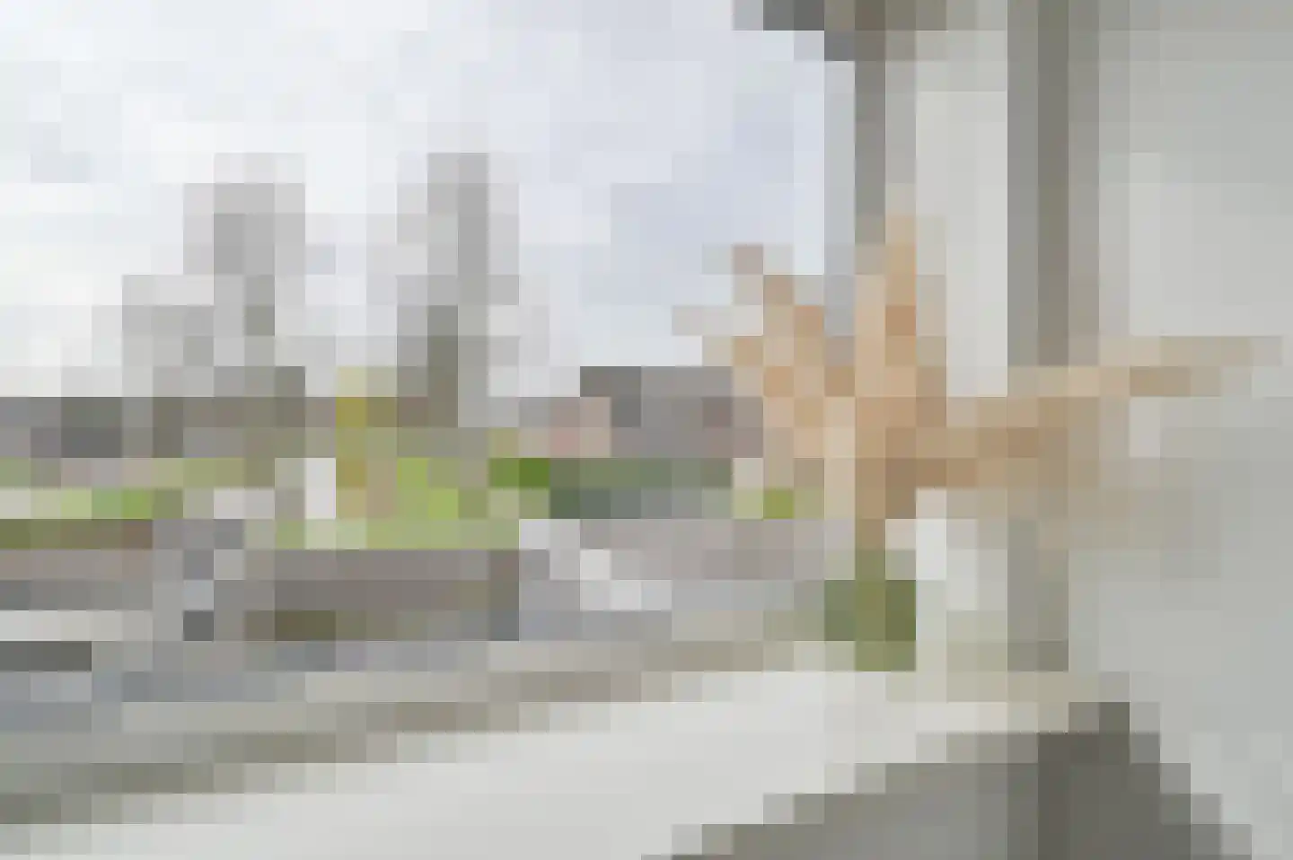 Wethouder van Damlaan 100 A Wilnis thumbnail 21