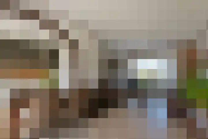 Wethouder van Damlaan 63 Wilnis thumbnail 7