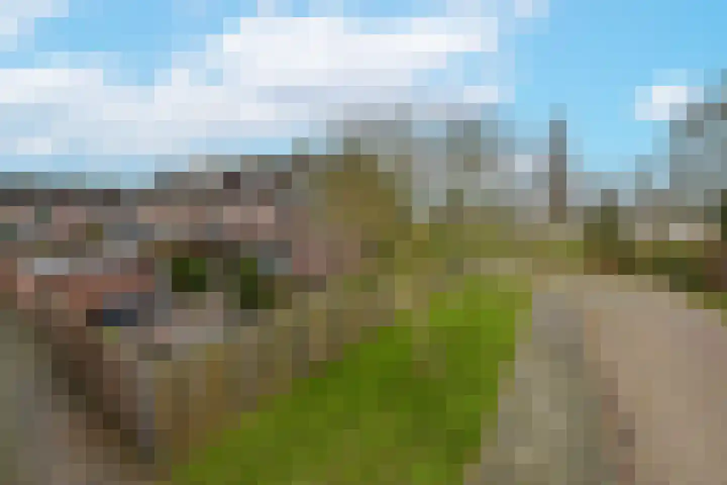 Wethouder van Damlaan 8 Wilnis thumbnail 5