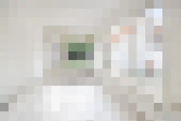 Wethouder van de Lisdonkstraat 4 Goirle thumbnail 21