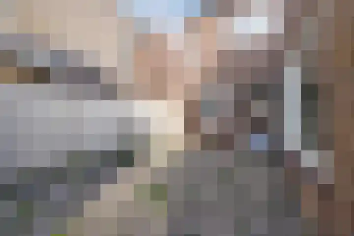 Wethouder van de Lisdonkstraat 4 Goirle thumbnail 40