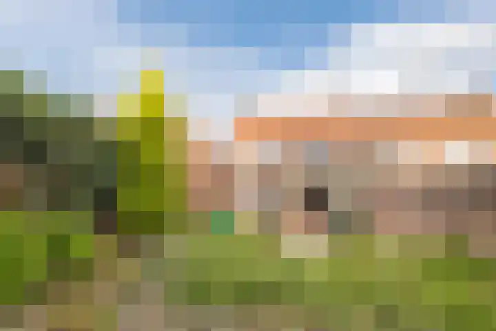 Wethouder van de Lisdonkstraat 4 Goirle thumbnail 50