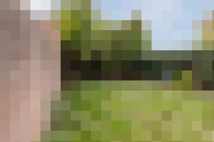 Wethouder van de Lisdonkstraat 4 Goirle thumbnail 53