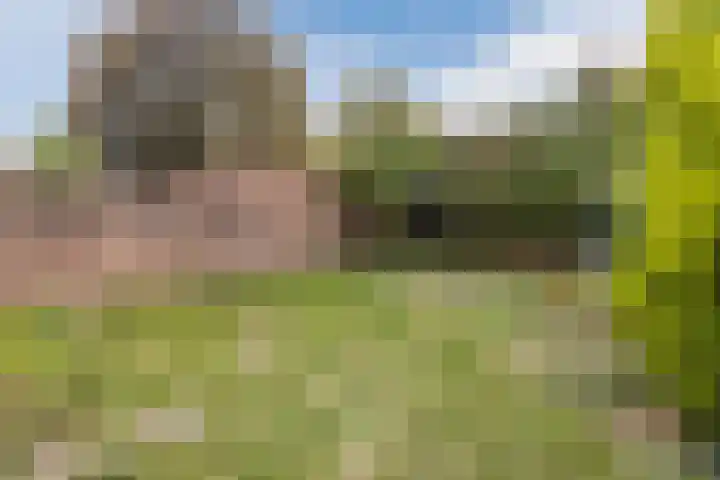 Wethouder van de Lisdonkstraat 4 Goirle thumbnail 54