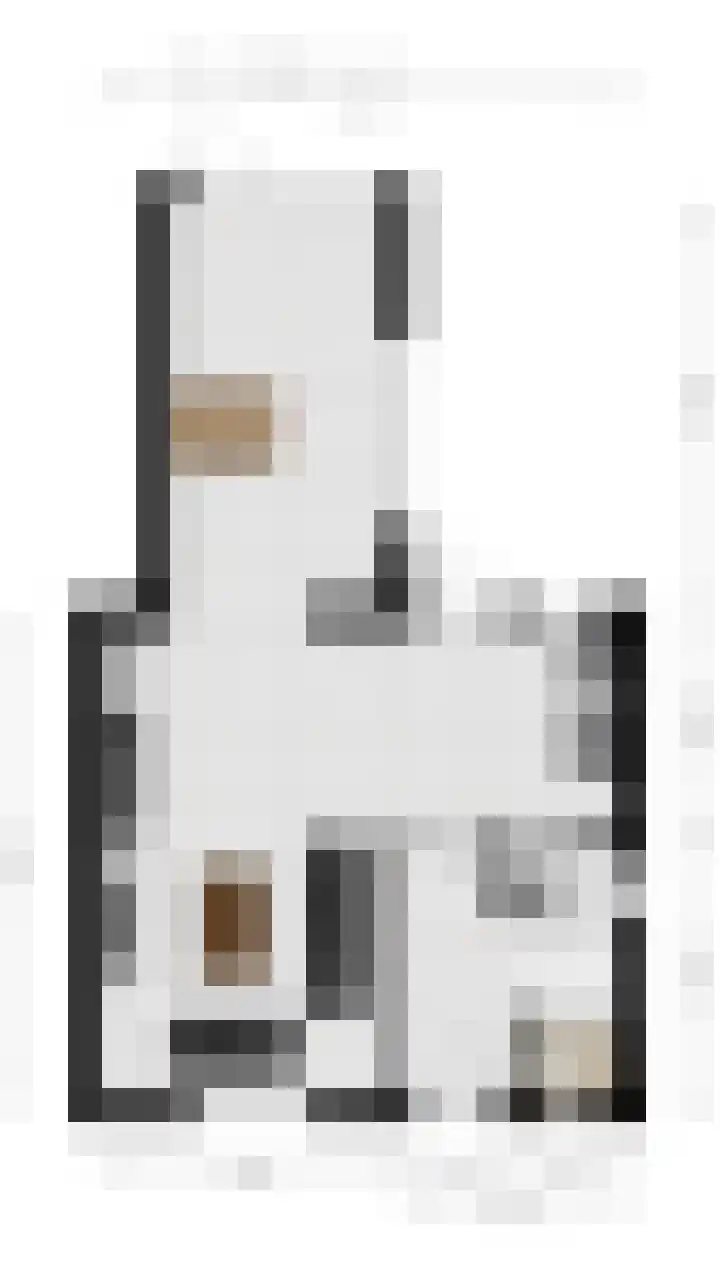 Wethouder van de Lisdonkstraat 4 Goirle thumbnail 56