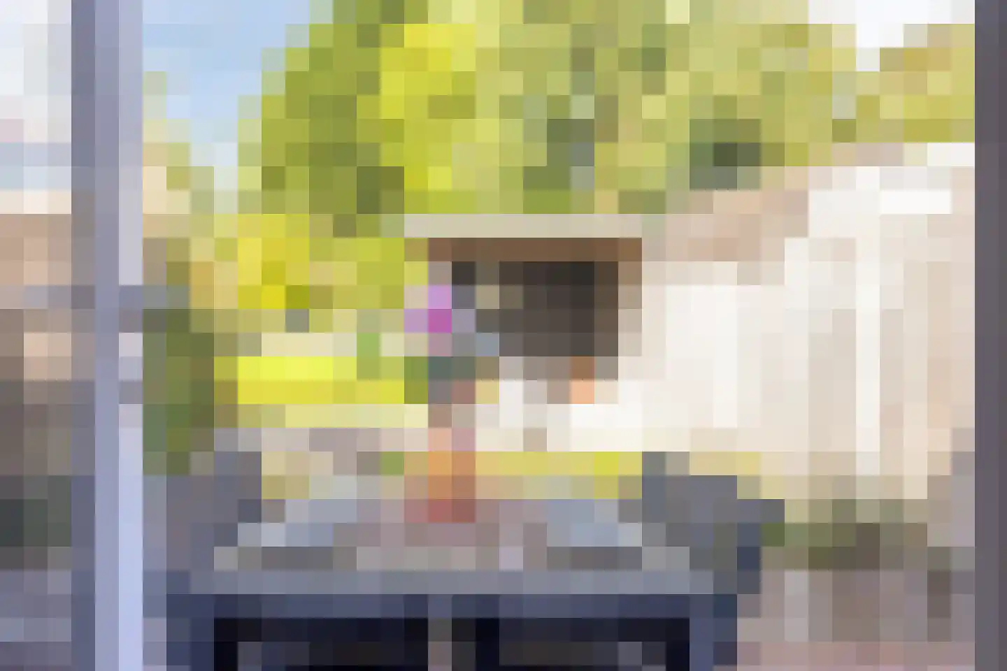 Wethouder Van den Bergplein 25 Bergambacht thumbnail 11