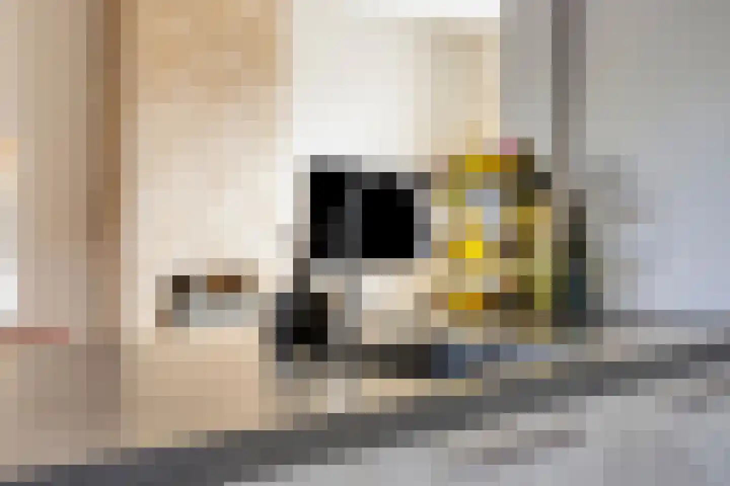 Wethouder Van den Bergplein 25 Bergambacht thumbnail 13