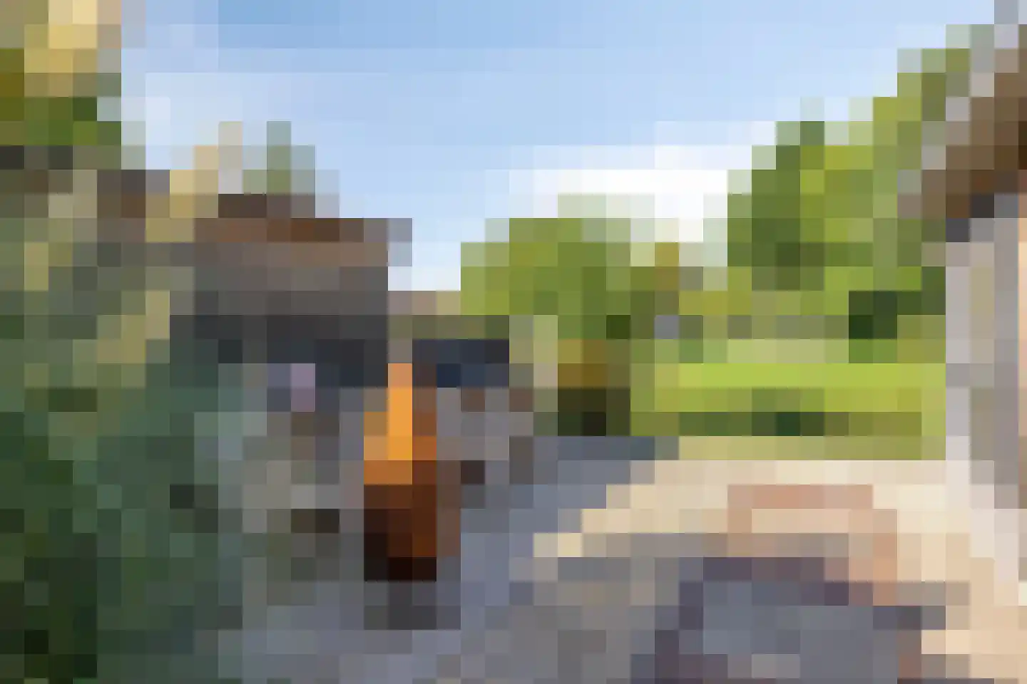 Wethouder Van den Bergplein 25 Bergambacht thumbnail 28