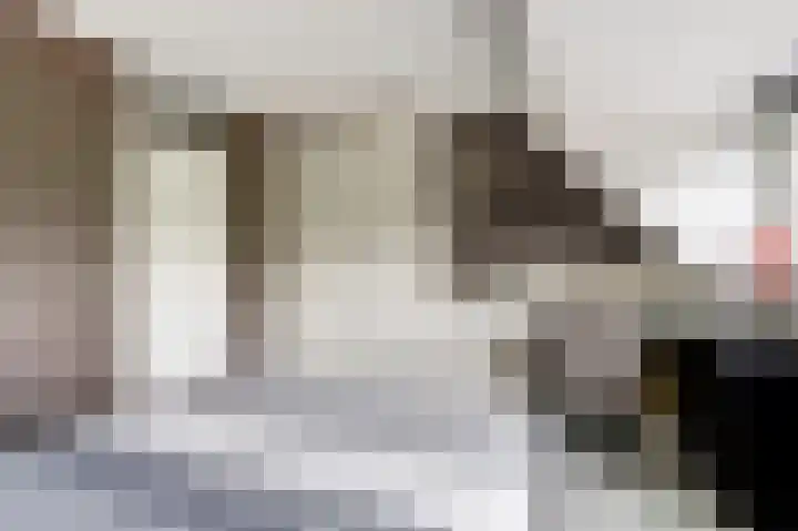 Wethouder Van den Doolstraat 8 Nieuw-Lekkerland thumbnail 10