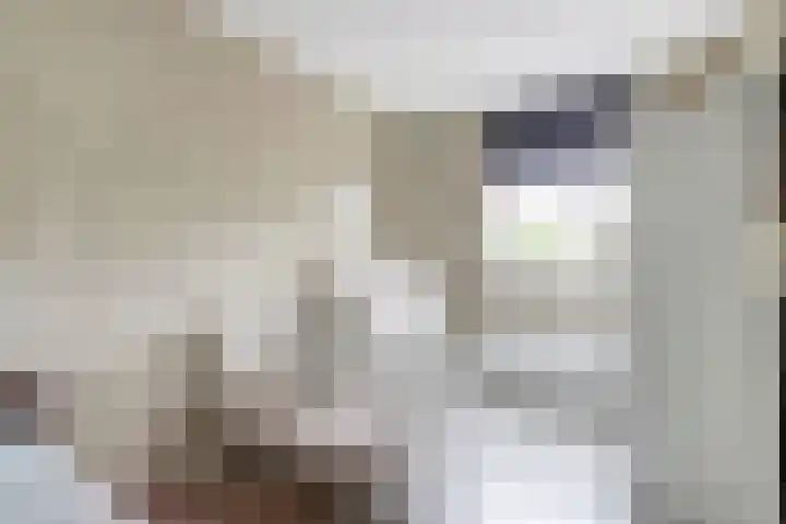 Wethouder Van den Doolstraat 8 Nieuw-Lekkerland thumbnail 11