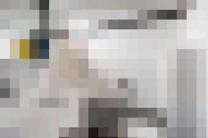 Wethouder Van den Doolstraat 8 Nieuw-Lekkerland thumbnail 14