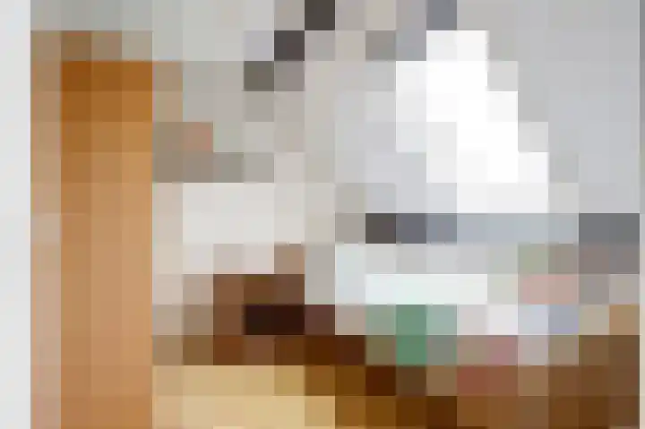 Wethouder Van den Doolstraat 8 Nieuw-Lekkerland thumbnail 18