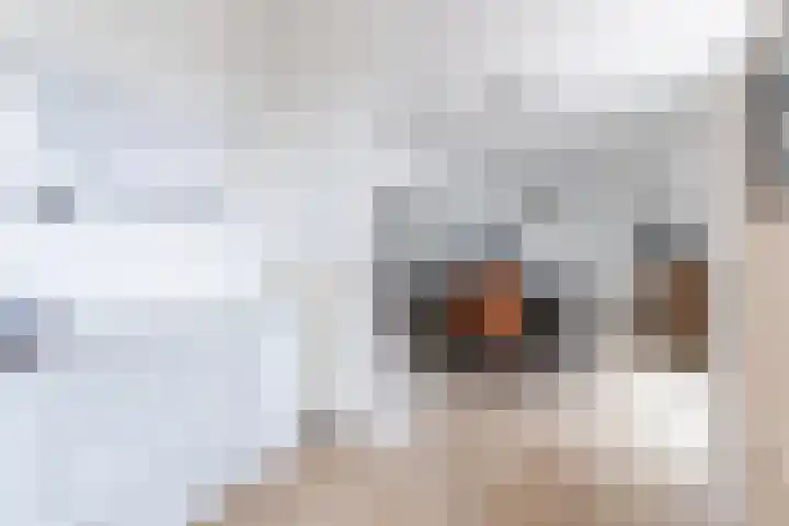 Wethouder van den Eijndenstraat 12 Geldrop thumbnail 18