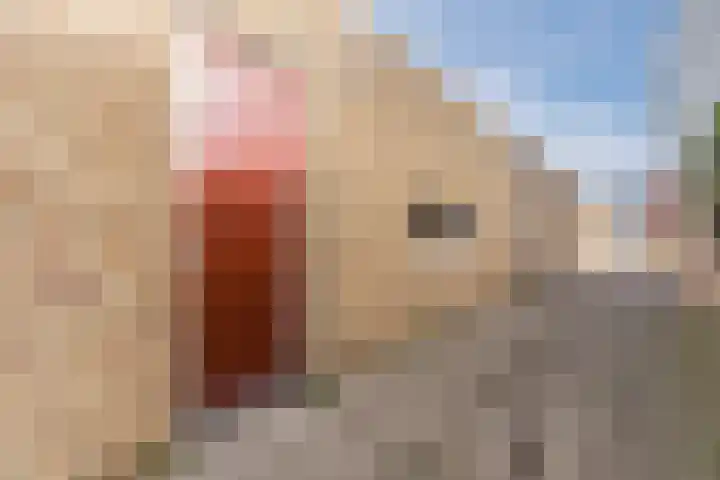 Wethouder van den Eijndenstraat 12 Geldrop thumbnail 38
