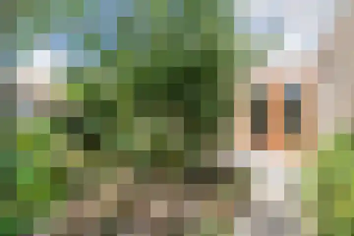Wethouder van den Eijndenstraat 36 Geldrop thumbnail 23