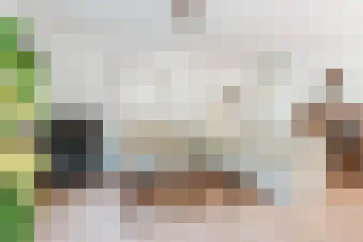 Wethouder van den Eijndenstraat 36 Geldrop thumbnail 9