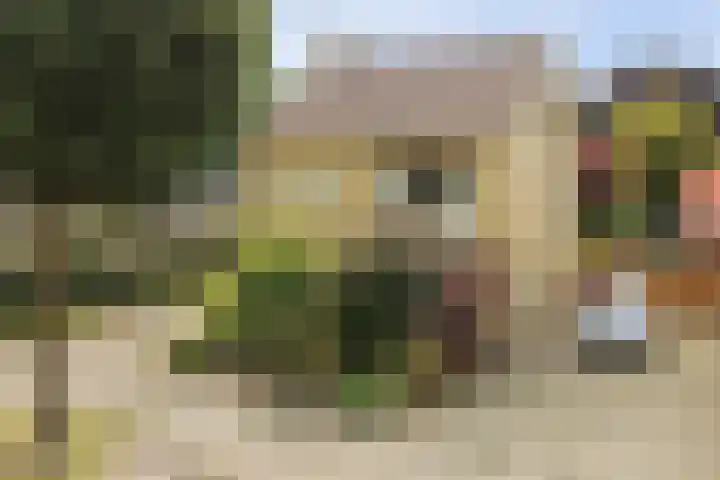 Wethouder van den Wildenbergstraat 18 Gilze thumbnail 58