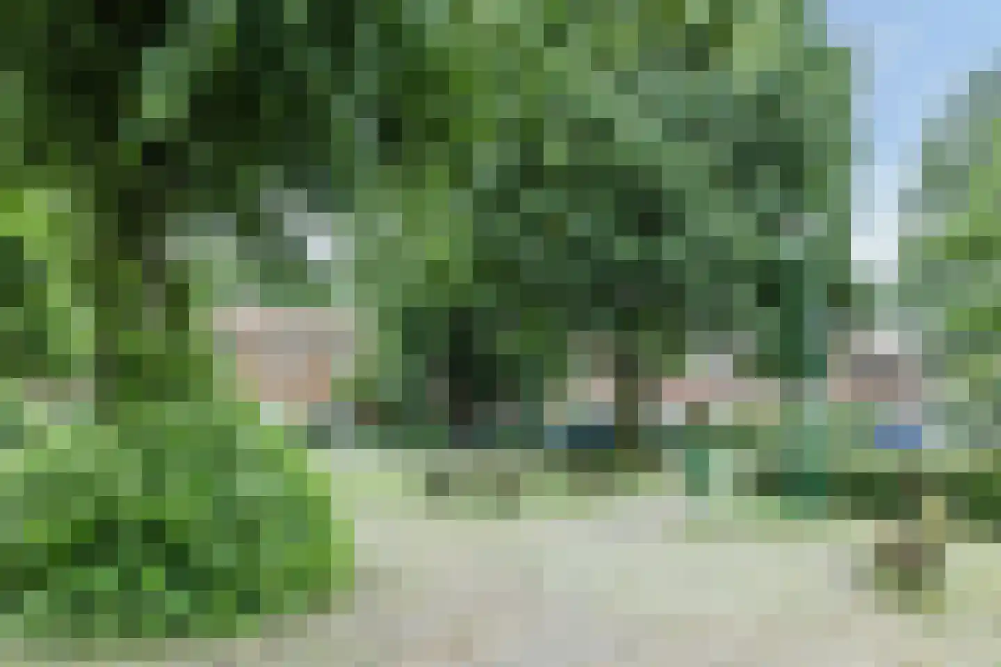 Wethouder van den Wildenbergstraat 74 Gilze thumbnail 38