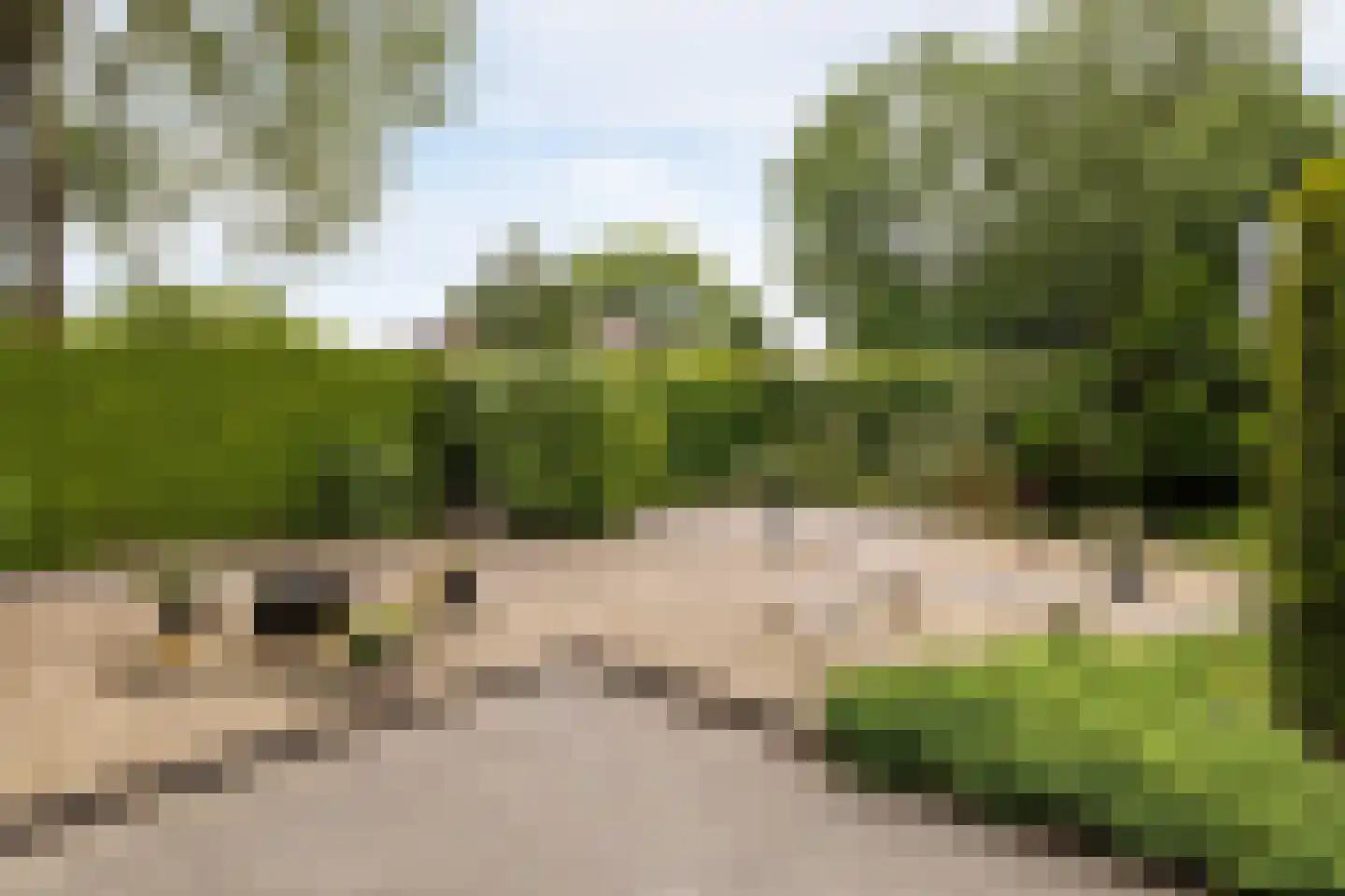 Wethouder van der Zandeweg 23 Elspeet thumbnail 10