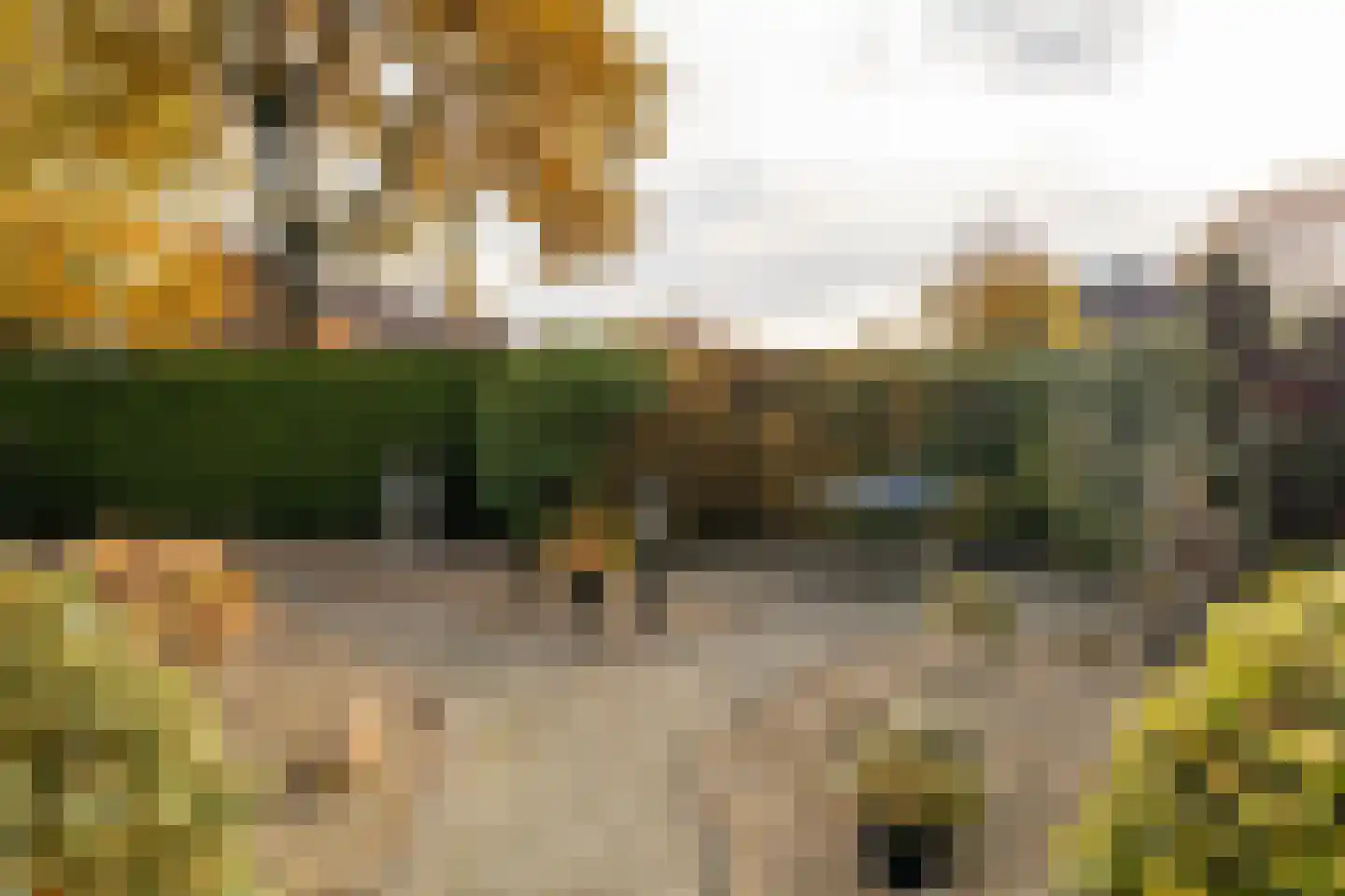 Wethouder van der Zandeweg 23 Elspeet thumbnail 4