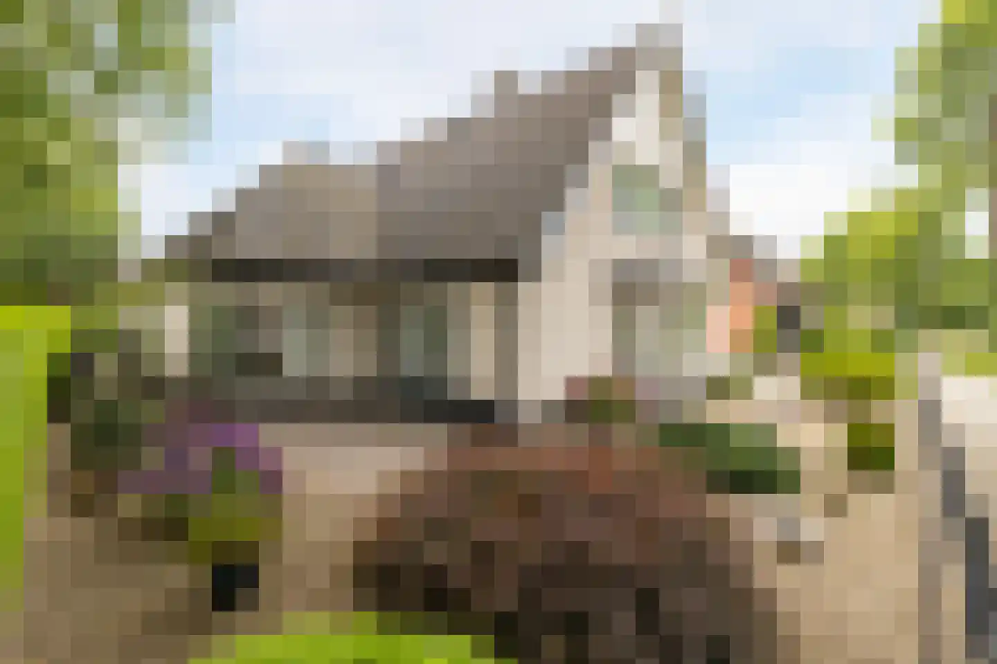 Wethouder van der Zandeweg 23 Elspeet thumbnail 41