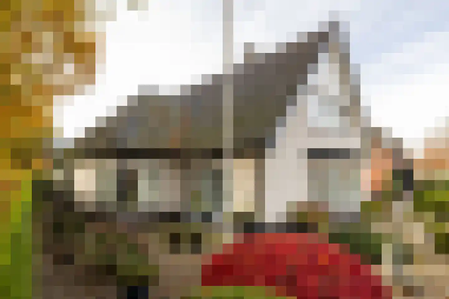 Wethouder van der Zandeweg 23 Elspeet thumbnail 6