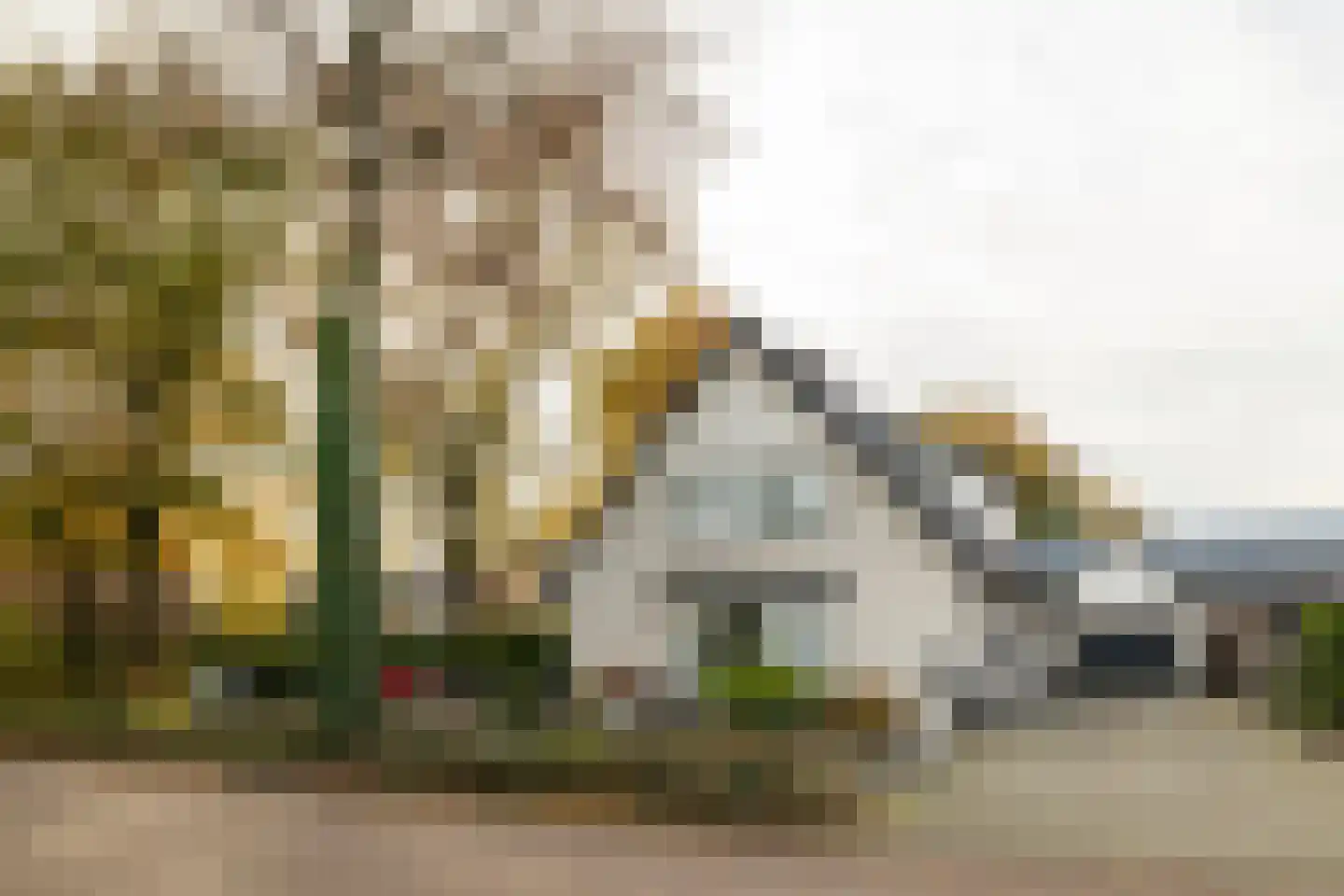 Wethouder van der Zandeweg 23 Elspeet thumbnail 7