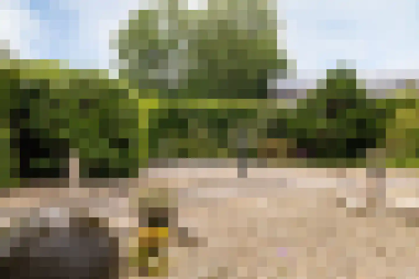Wethouder van der Zandeweg 23 Elspeet thumbnail 9