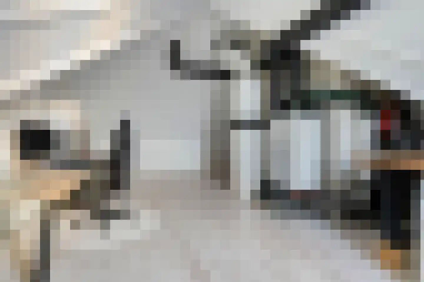 Wethouder Van Dijkstraat 26 Erp thumbnail 25