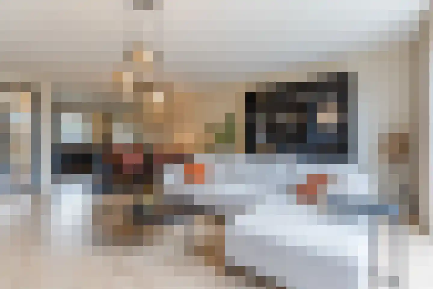 Wethouder Van Dijkstraat 3 Erp thumbnail 9