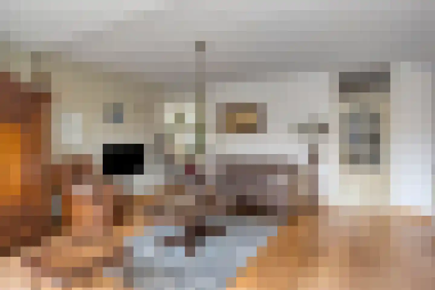 Wethouder van Eschstraat 103 Oss thumbnail 11