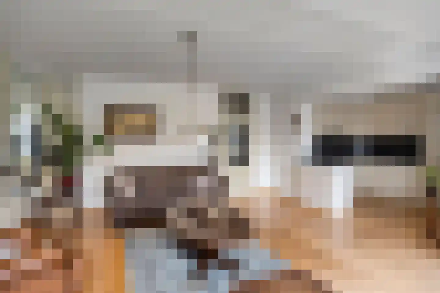 Wethouder van Eschstraat 103 Oss thumbnail 12