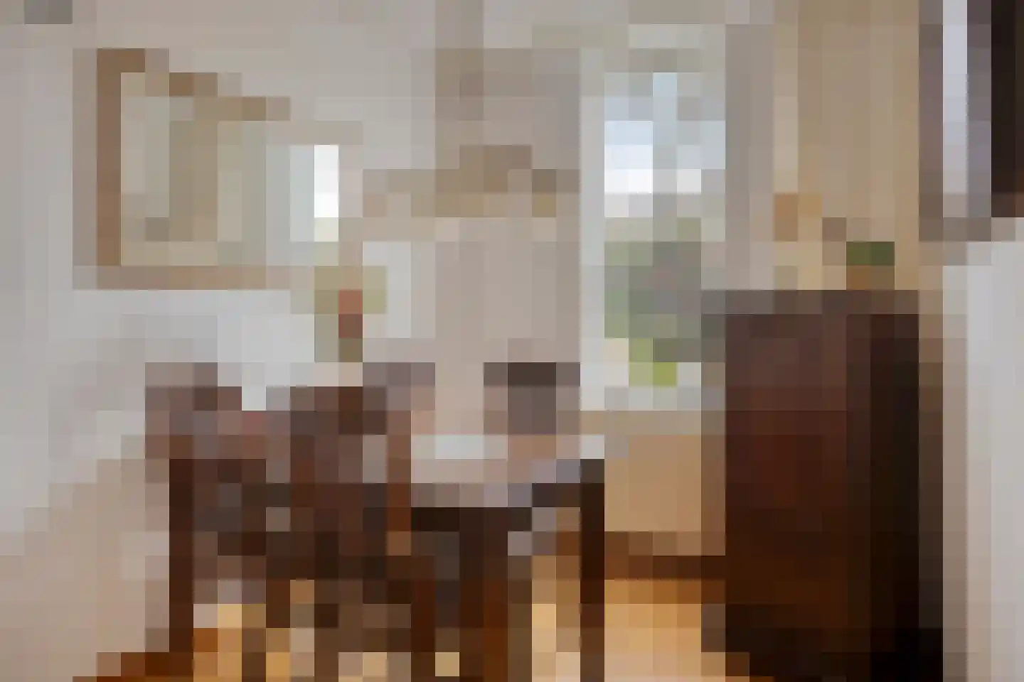 Wethouder van Eschstraat 103 Oss thumbnail 16