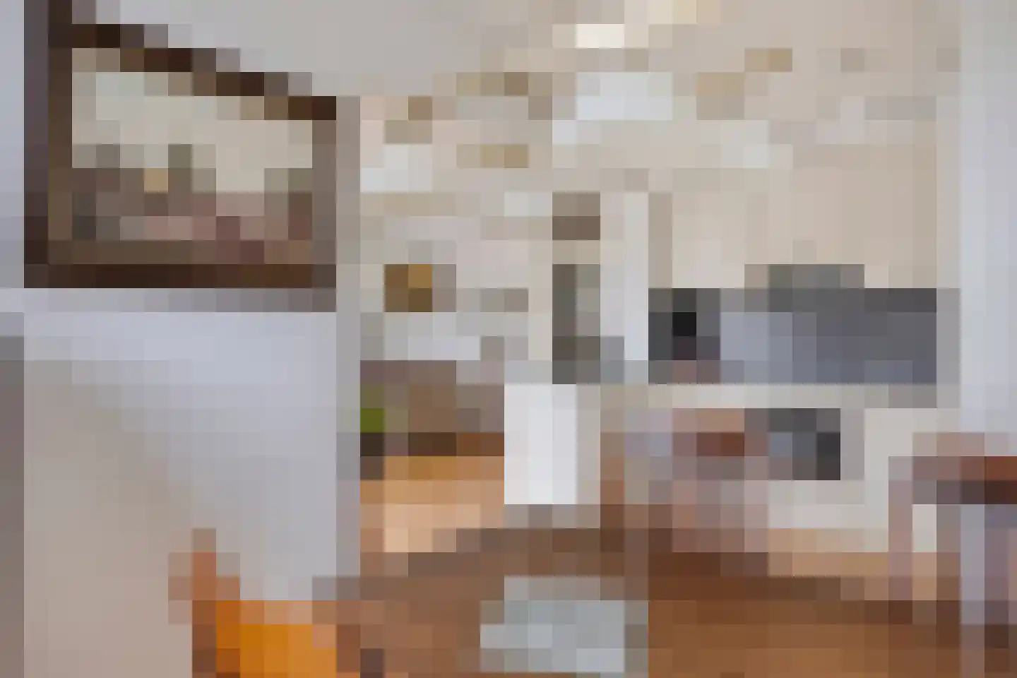 Wethouder van Eschstraat 103 Oss thumbnail 17