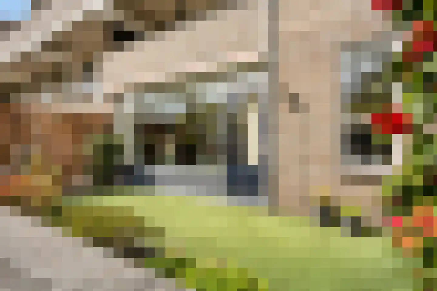 Wethouder van Eschstraat 103 Oss thumbnail 26
