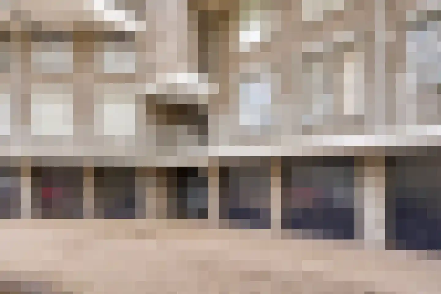 Wethouder van Eschstraat 103 Oss thumbnail 30