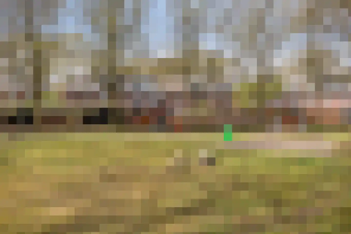 Wethouder van Eschstraat 103 Oss thumbnail 35