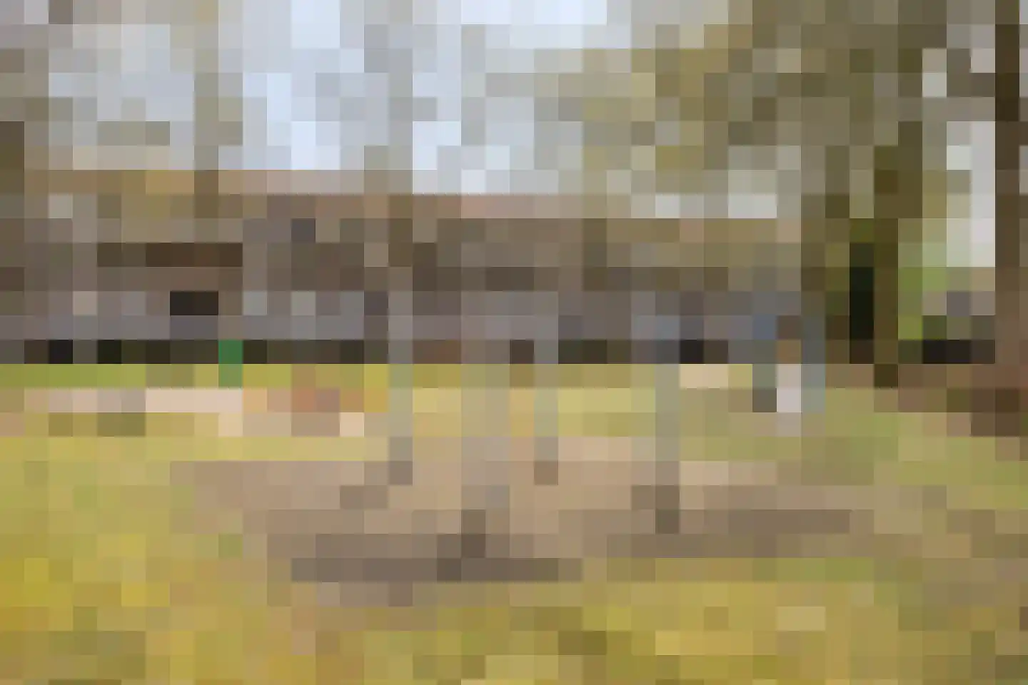 Wethouder van Eschstraat 103 Oss thumbnail 36